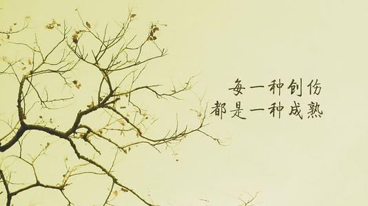 网站SEO优化推广如何做到满意？