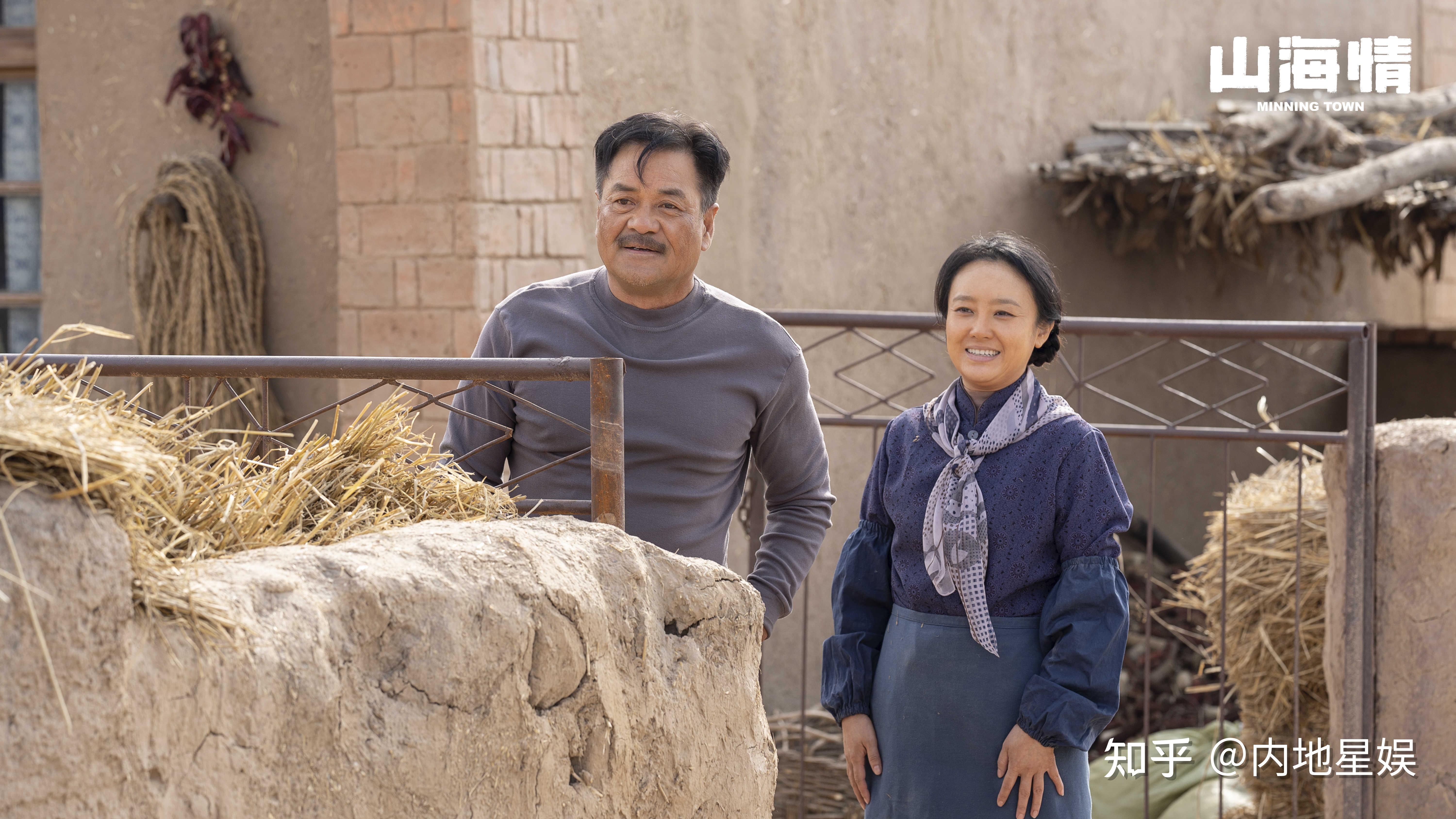 山海情超强口碑收官王子瑜尤勇智李大有夫妇获高人气