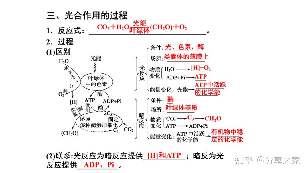 包含高考生物细胞代谢专项突破（光合作用/呼吸作用）的词条