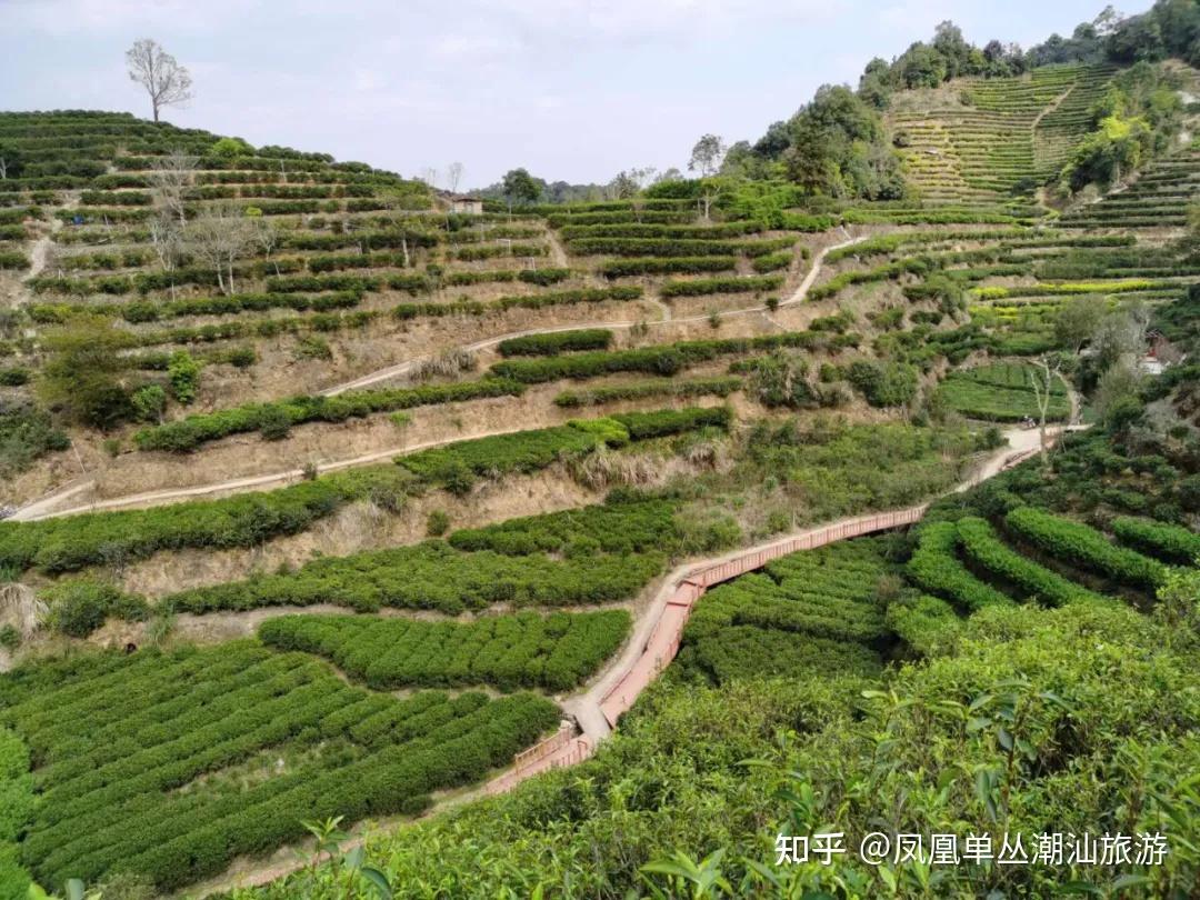 【takekore】磨哲 寒山拾得彫 竹製茶合(茶量)x12 壼麗舍&frasl;freecer&frasl;(壺麗舍)亞舍泥作－創藝空間,鄧丁壽作品,創意陶瓷竹木