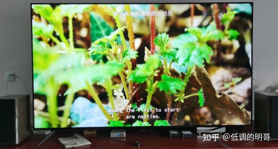 满满干货(2020双十一值得购买的东西)2020淘宝双十一抢先购,(图62) 满满干货(2020双十一值得购买的东西)2020淘宝双十一抢先购,(图62)