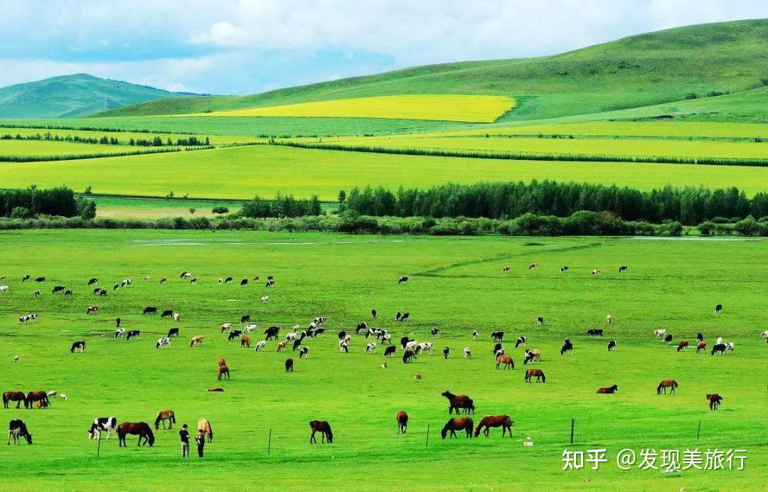 呼伦贝尔大草《额尔古纳》国家湿地公园! - 知乎