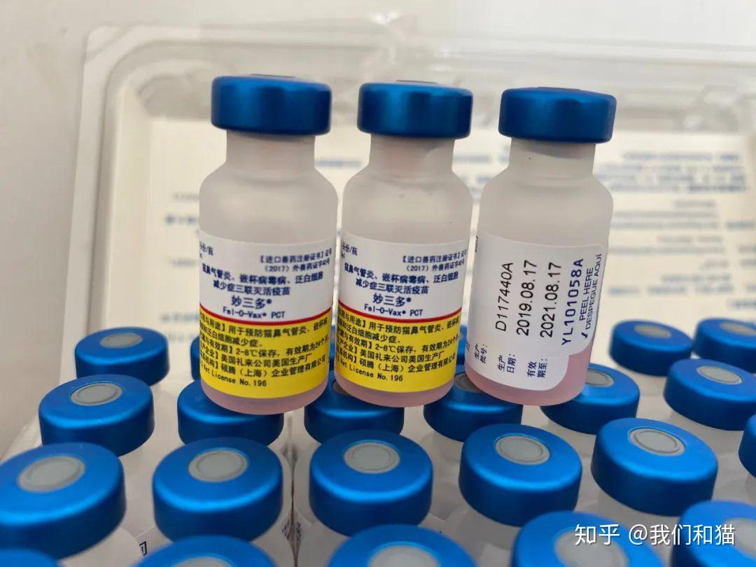 猫咪完整疫苗接种程序【硕腾官方指引】 - 知乎