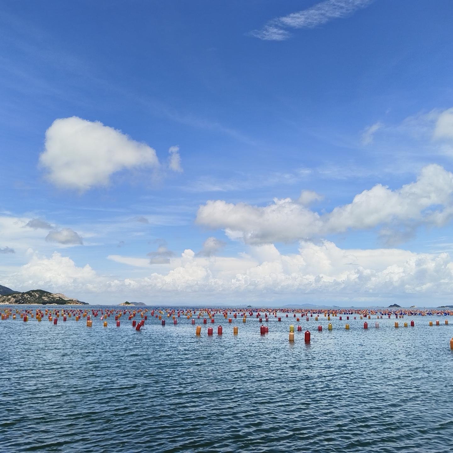 海天辽阔立多时