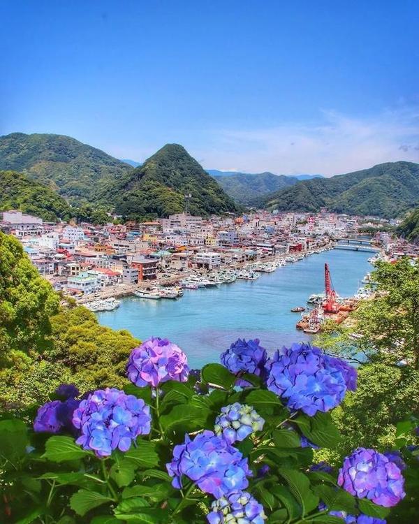 初夏限定 错过4月的樱花 雨季的紫阳花来了 知乎