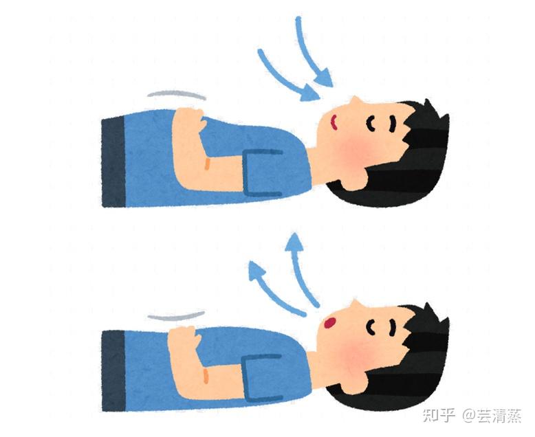 横膈膜是什么？横膈膜在哪里？ - 知乎