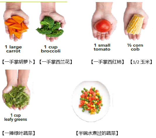 减肥先从控制摄入量开始！ - 知乎