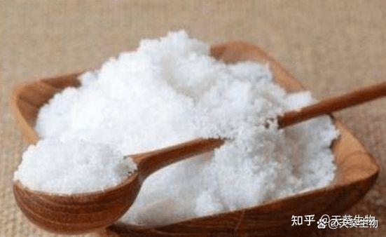 关于盐，你从来没听说过的20个历史真相 - 知乎