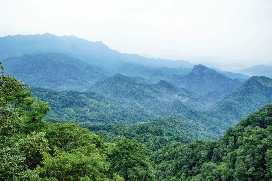 洪雅旅游必去十大景点，四川洪雅10个周边游好去处，你去过几个？ - 知乎