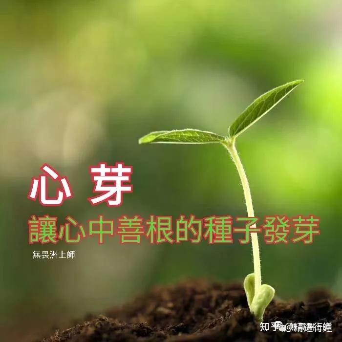 埋怨心,是心灵的癌症 - 知乎