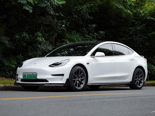 誠意之作國產化的特斯拉model3那條不一樣的鯰魚