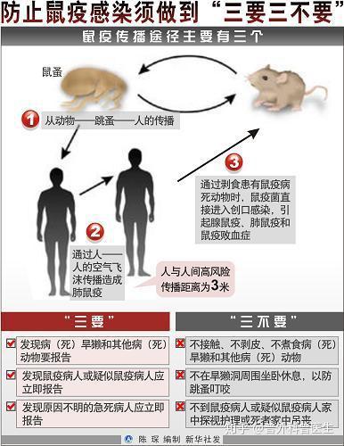 北京确诊2名鼠疫患者 鼠疫有多可怕 应该怎么治疗 告诉你答案 知乎
