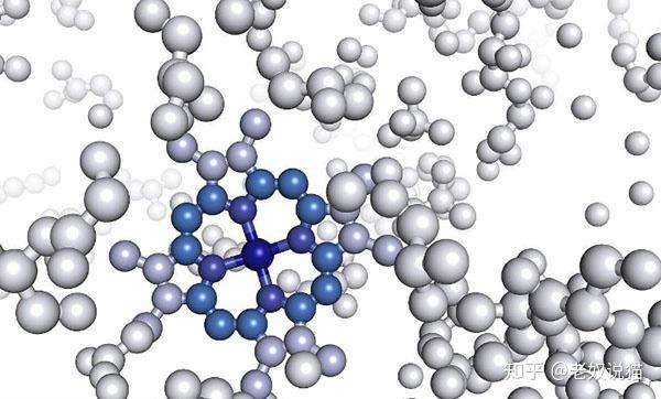 猫被忽视的动物蛋白质