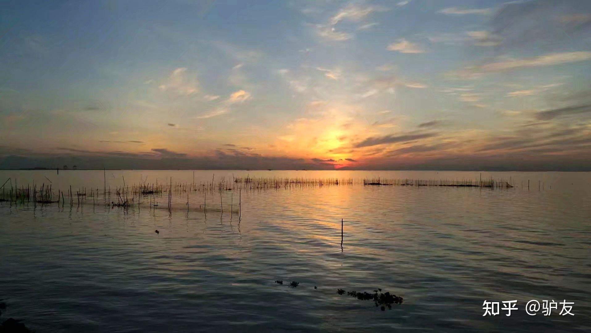 华为mate40pro和苹果12应该买哪个