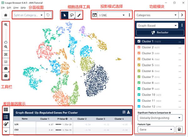 实用干货 可视化软件 Loupe Browser 的使用 知乎