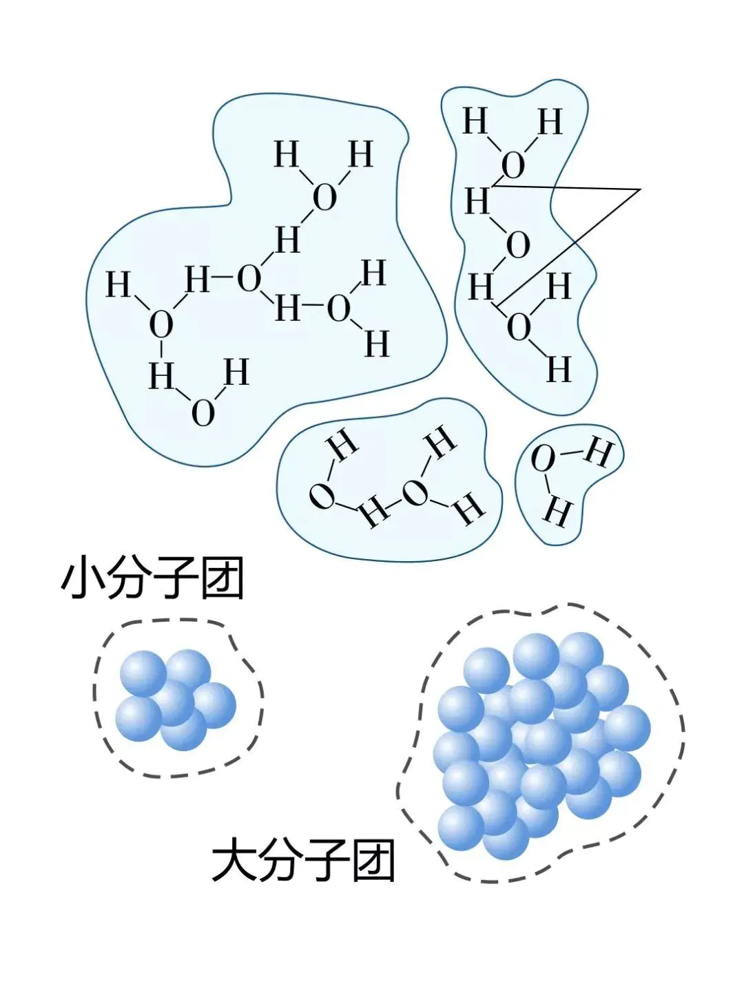 去氘水,真正可饮用的稳定小分子水