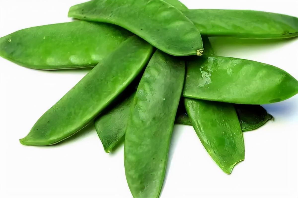 扁豆也是常见的蔬菜,但扁豆中含有血细胞凝集素,皂素和胰蛋白酶抑制剂