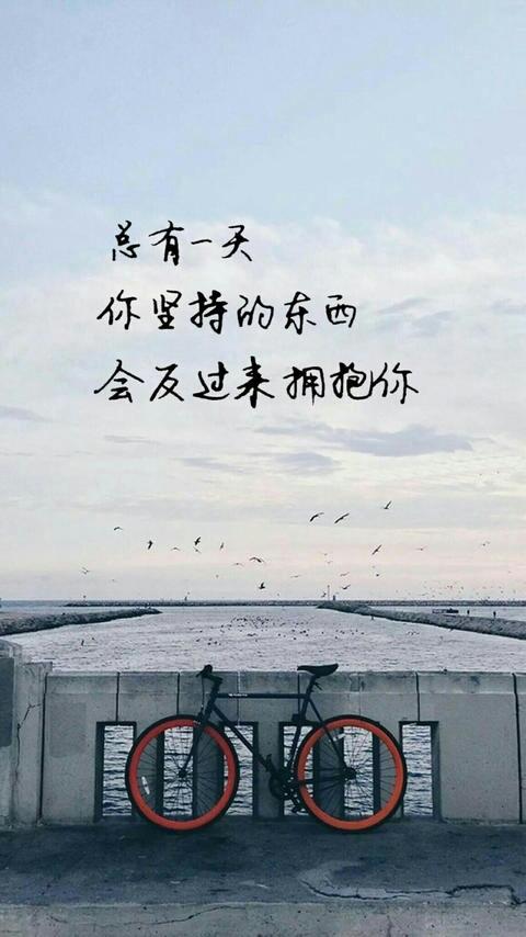 炫彩壁纸秀app 每日一组美图壁纸 励志格言 知乎