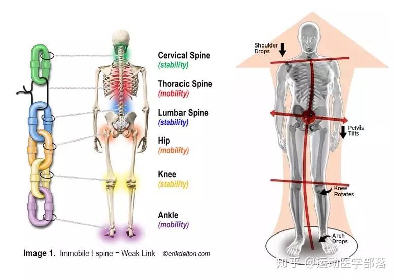 跑步的下肢生物力学分析