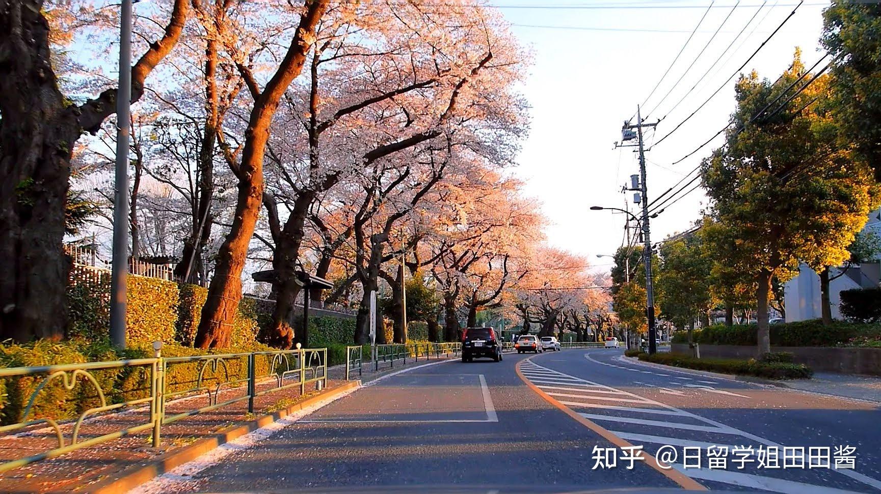 多摩川大学图片