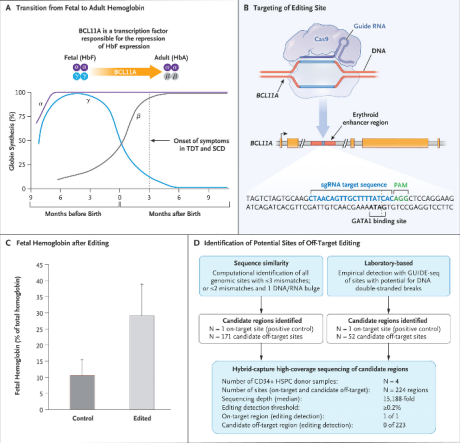 全球首个CRISPR/Cas9基因编辑细胞药物Casgevy在英获批！ - 知乎