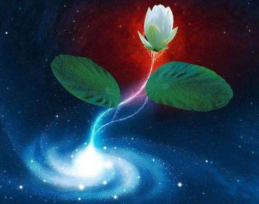 2,混沌青莲(后解体)