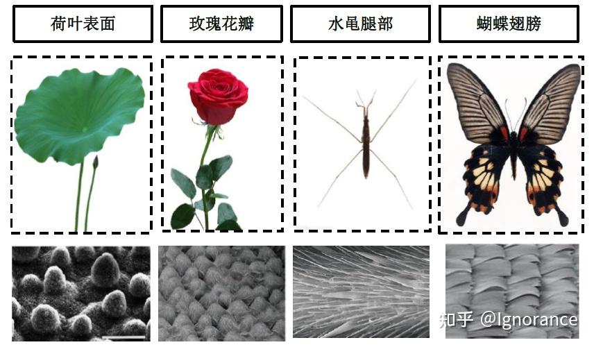 chapter12粗糙表面上的接触角模型