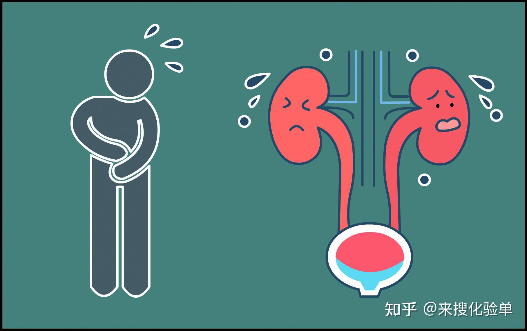 不要忽视尿常规检验--中国数字科技馆
