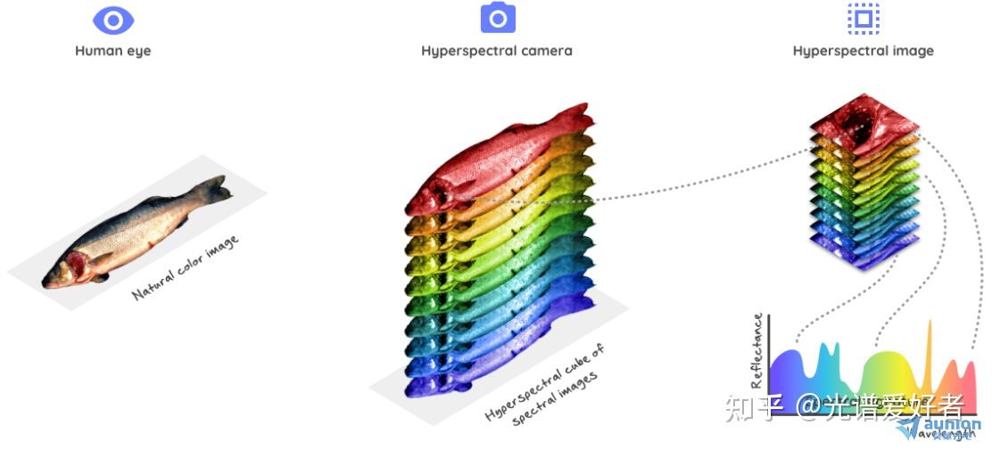 高光谱成像技术简介 - 知乎