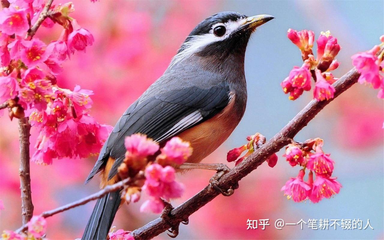 生活不能躺平更不能躺贏中考作文這才是我想要的生活