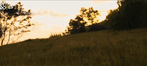 v2-ab3b490ca012a12221a62a15557a478f_r.jpg