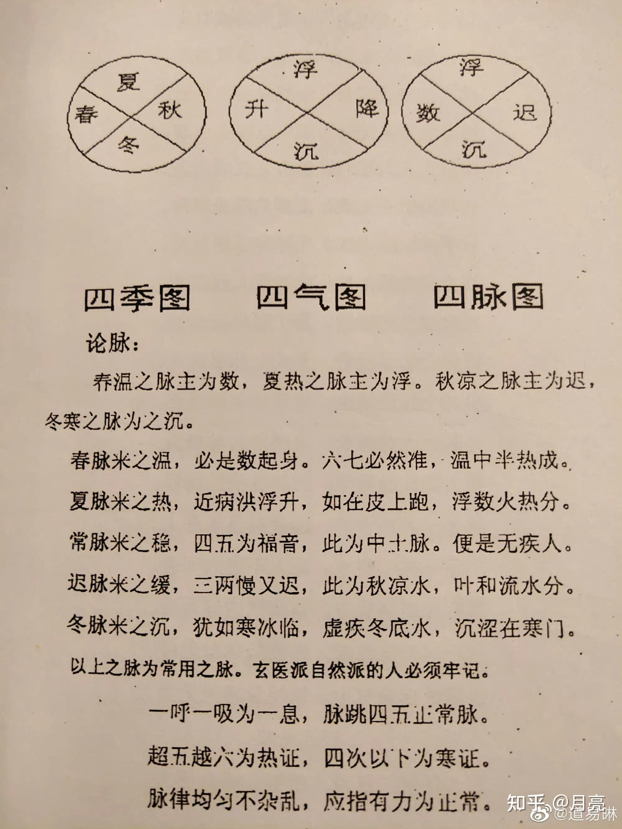 脉诊图看这! - 知乎