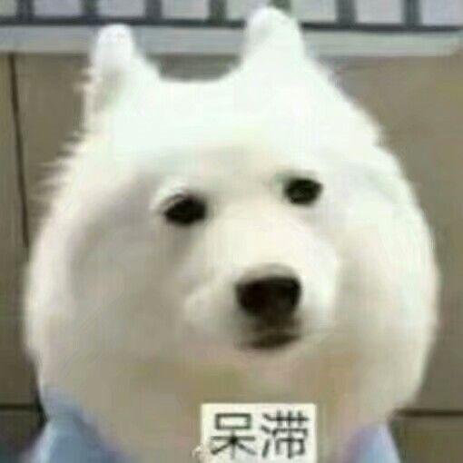 高考完就找参考答案估分是一种什么样的体验?