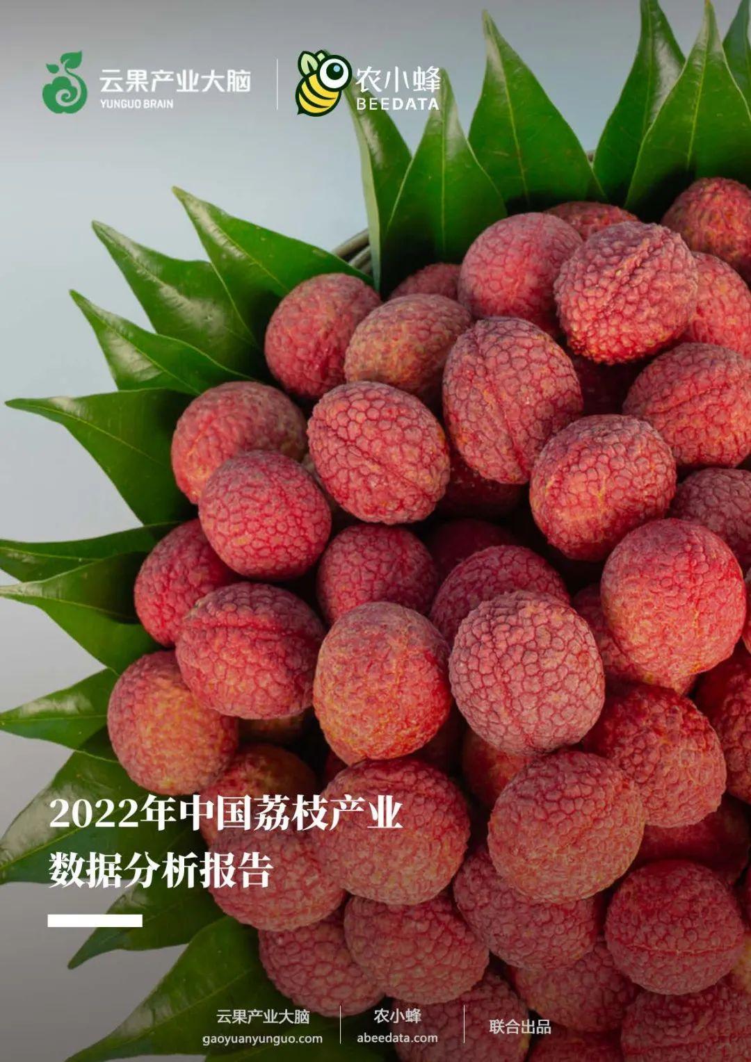 2022年中国荔枝产业数据分析报告（节选） - 知乎