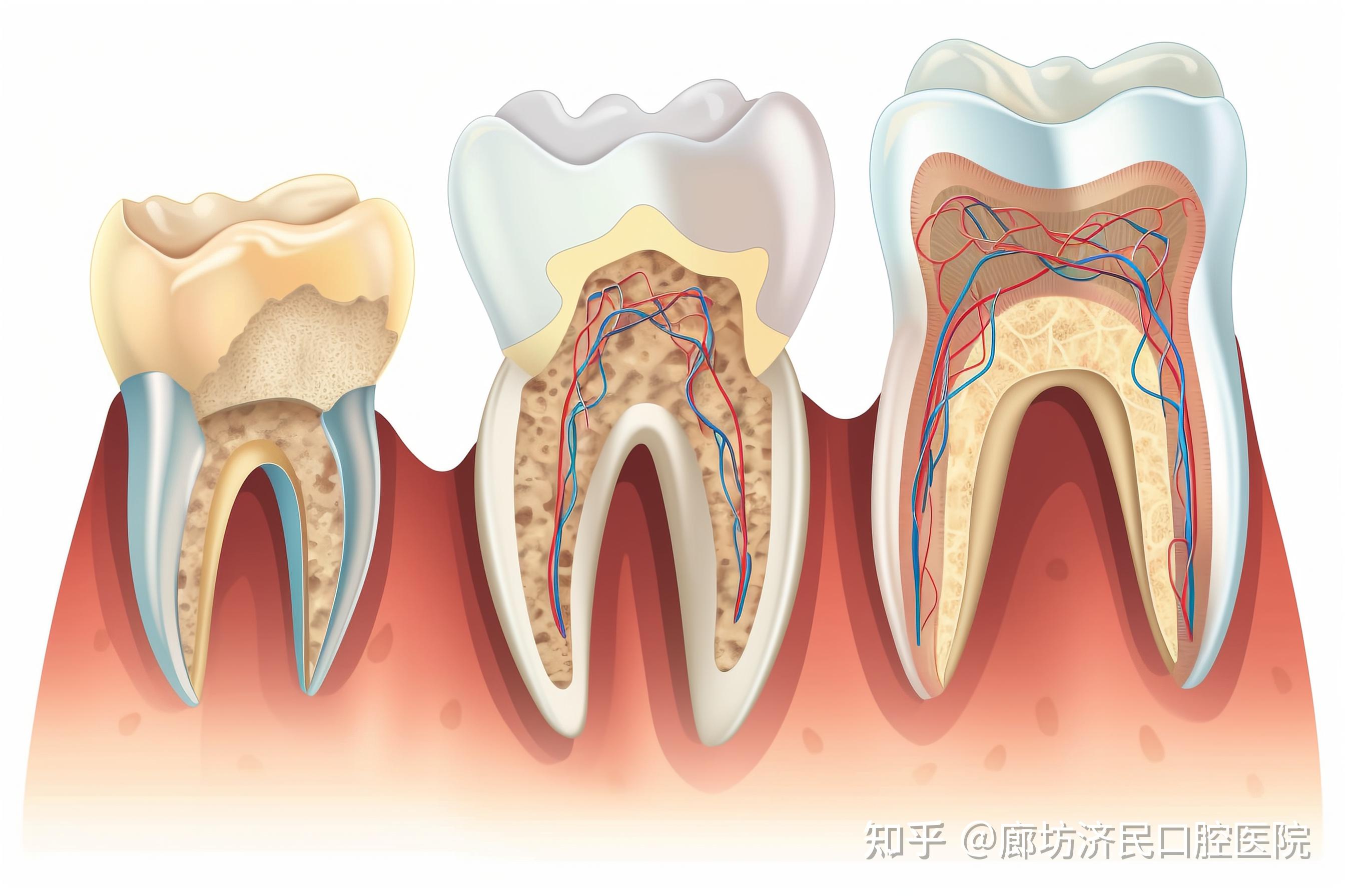 黄牙齿怎么变白最好方法（为什么牙齿会发黄？如何美白牙齿？这2种方法帮助你） | 说明书网