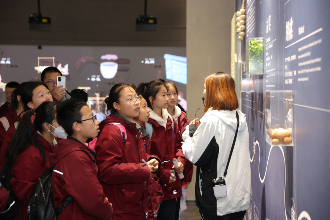 暖阳照冬日研学正当时丝路欢乐世界再迎千人青少年研学团