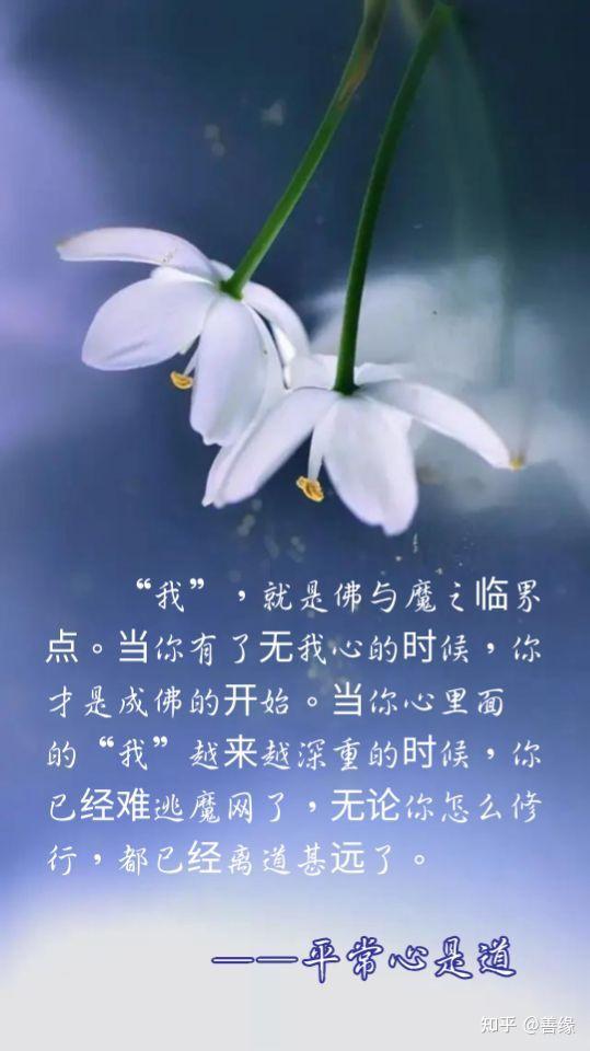 攀缘心太重的危害