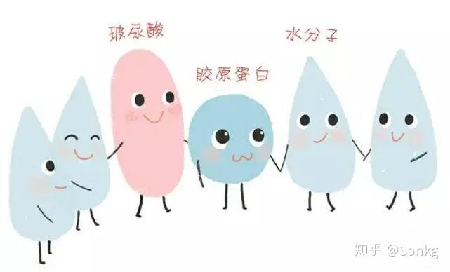 细胞说| 成纤维细胞的"十八般武艺"