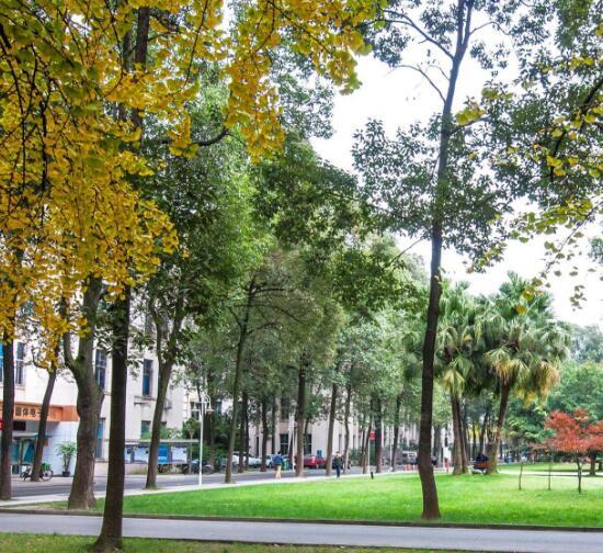 物流管理专业的毕业论文题目如何选题,内容又