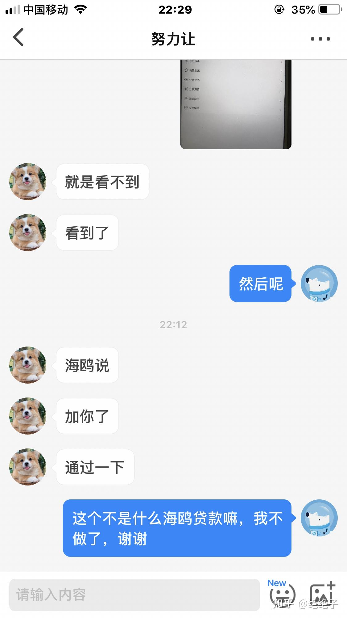 海鸥下载app-海鸥聊天app下载安装