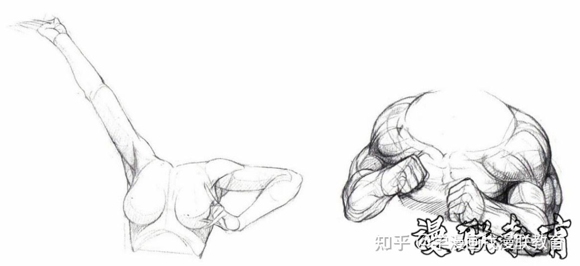 「教程」人体绘画基础 part 03 认识肌肉(中)