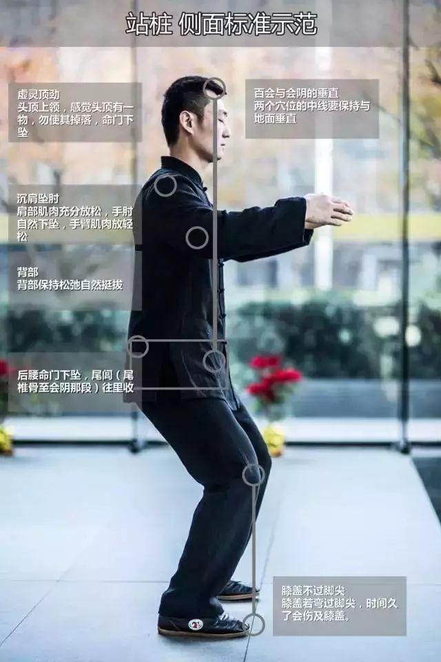 站养生桩,不用费神寻经找穴,无需敲经打穴,不讲意守丹田,静静地一站