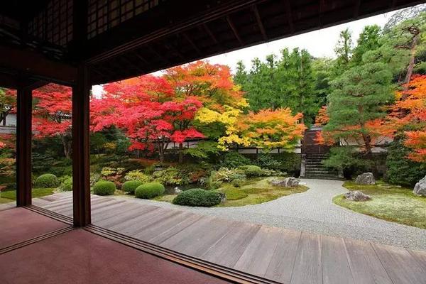 京都赏红叶特别攻略 小众到只有当地人知道的地方 一个人独占深秋红影 知乎