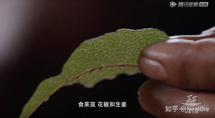知乎日报 知乎 知乎日报 知乎
