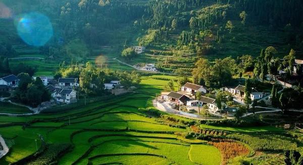 有谁知道农业机械化率是怎样计算的啊?急寻?