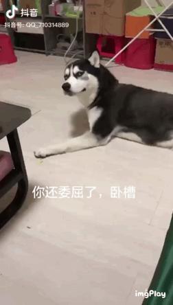 抖音号怎么运营？掌握这25个技巧。