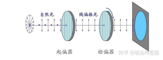 光的偏振态示意图图片