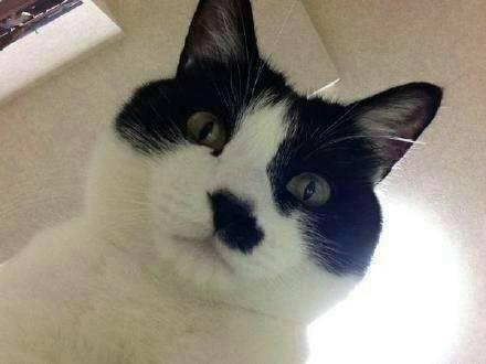 参加清华北大的留学生考试是什么体验?