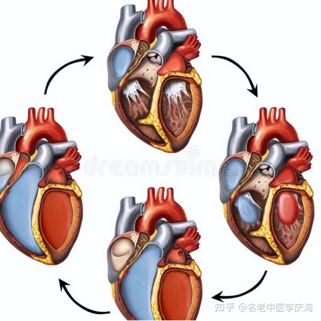 小心!揭秘心脏瓣膜反流:你不可不知的健康预警