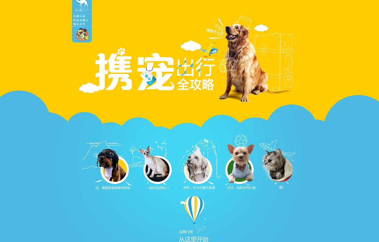 宠物托运宠物空运让宠物们能够有一个愉快的旅途